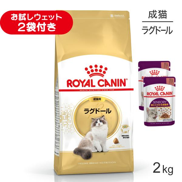 ロイヤルカナン FBN ラグドール 成猫用 生後12ヵ月齢から12歳まで 2kg (猫・キャット)[正規品]