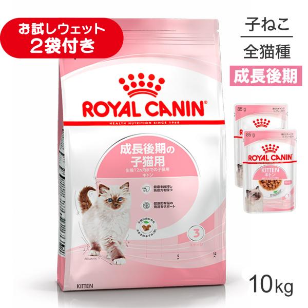 ロイヤルカナン FHN キトン 成長後期の子猫用 生後12ヵ月齢まで 10kg (猫・キャット)[正規品]