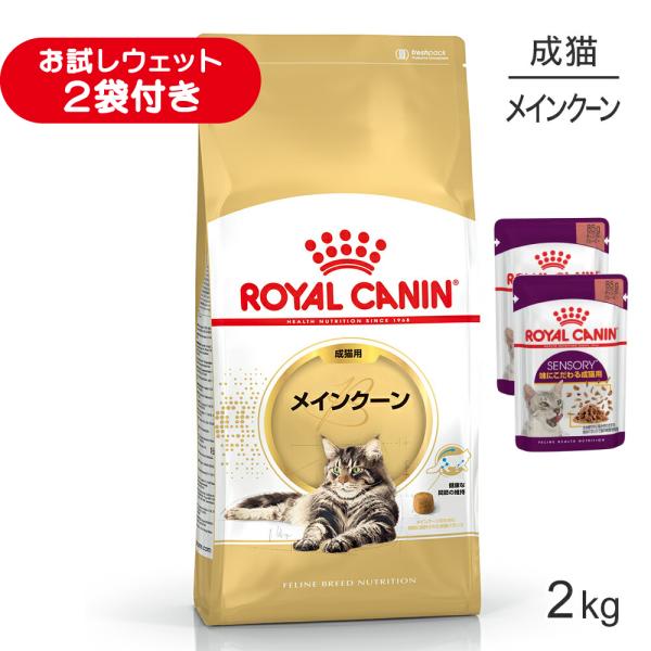 ロイヤルカナン FBN メインクーン 成猫用 生後15ヵ月齢から12歳まで 2kg (猫・キャット)[正規品]