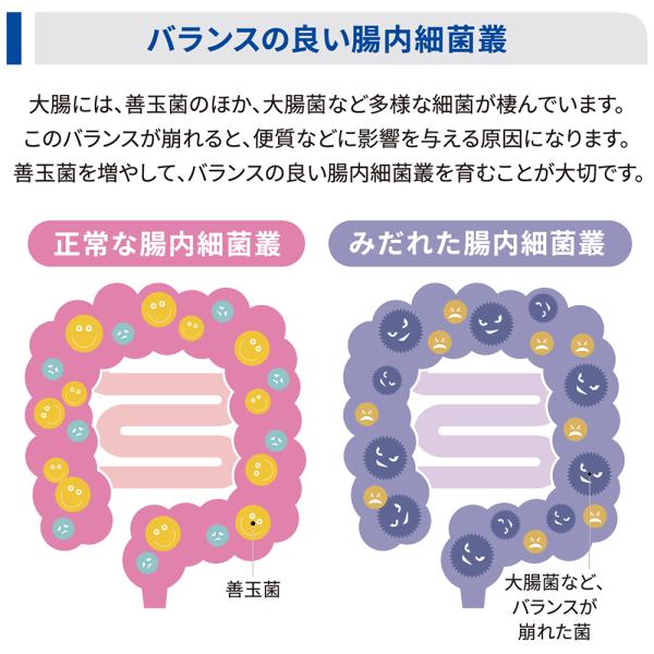 ヒルズ 腸内バイオーム 繊維＆消化ケア 小粒 療法食 3kg (犬・ドッグ)[正規品]