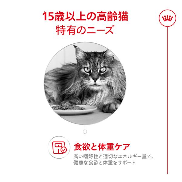 ロイヤルカナン FHN エイジング 15+ 高齢猫用 15歳 2kg (猫・キャット)[正規品]