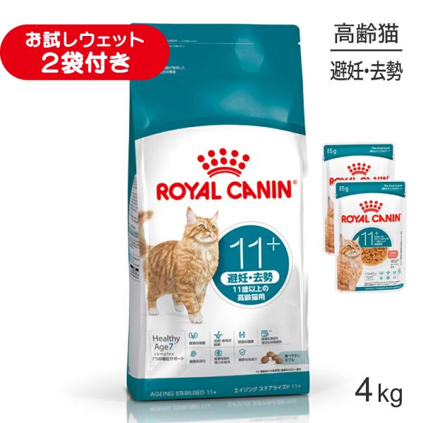 ロイヤルカナン FHN エイジング ステアライズド 11+ 避妊・去勢 高齢猫用 11歳以上 4kg (猫・キャット)[正規品]