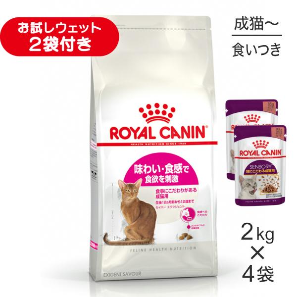 【2kg×4袋】ロイヤルカナン FHN セイバー エクシジェント 食事にこだわりがある成猫用 生後12ヵ月齢から12歳まで (猫・キャット)[正規品]