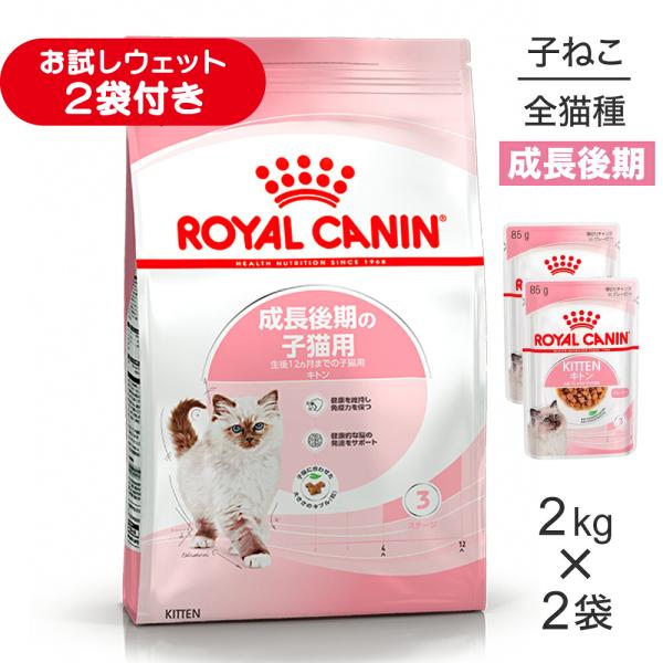 【2kg×2袋】ロイヤルカナン FHN キトン 成長後期の子猫用 生後12ヵ月齢まで (猫・キャット)[正規品]