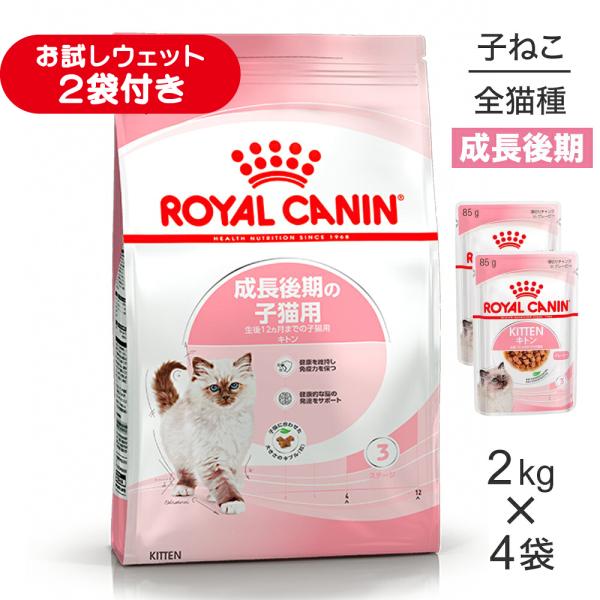 【2kg×4袋】ロイヤルカナン FHN キトン 成長後期の子猫用 生後12ヵ月齢まで (猫・キャット)[正規品]