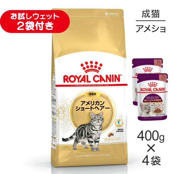 【400g×4袋】ロイヤルカナン FBN アメリカン ショートヘアー 成猫用 生後12ヵ月齢から12歳まで (猫・キャット)[正規品]