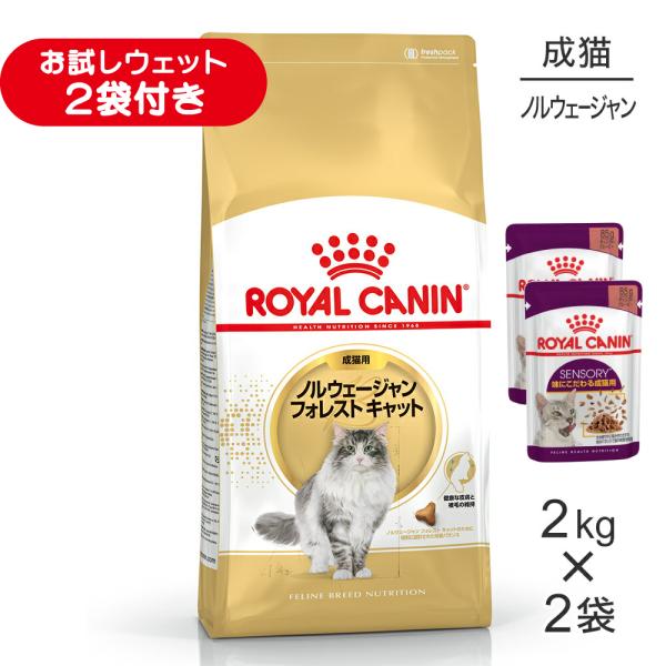 【2kg×2袋】ロイヤルカナン FBN ノルウェージャン フォレスト キャット 成猫用 生後12ヵ月齢から12歳まで (猫・キャット)[正規品]
