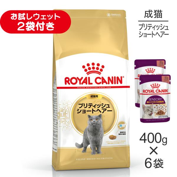 【400g×6袋】ロイヤルカナン FBN ブリティッシュ ショートヘアー 成猫用 生後12ヵ月齢から12歳まで (猫・キャット)[正規品]