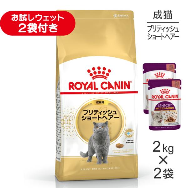 【2kg×2袋】ロイヤルカナン FBN ブリティッシュ ショートヘアー 成猫用 生後12ヵ月齢から12歳まで (猫・キャット)[正規品]