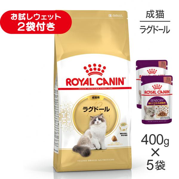 【400g×5袋】ロイヤルカナン FBN ラグドール 成猫用 生後12ヵ月齢から12歳まで (猫・キャット)[正規品]