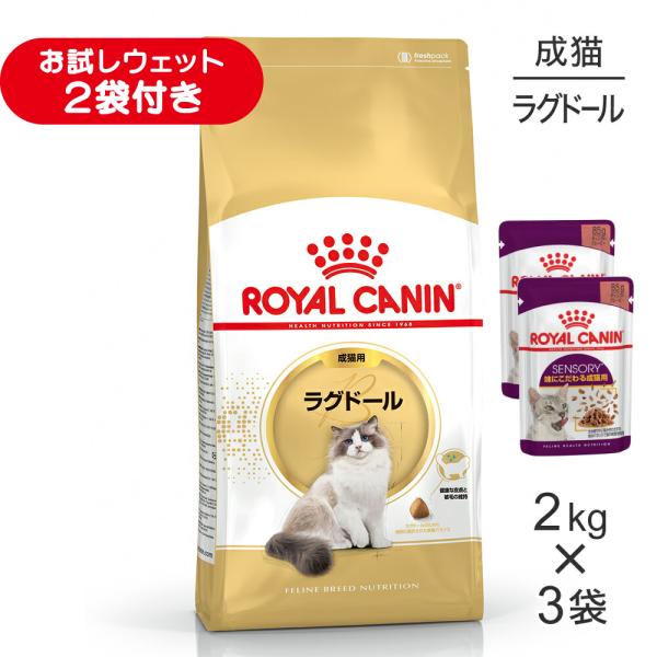 【2kg×3袋】ロイヤルカナン FBN ラグドール 成猫用 生後12ヵ月齢から12歳まで (猫・キャット)[正規品]