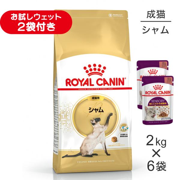 【2kg×6袋】ロイヤルカナン FBN シャム 成猫用 生後12ヵ月齢から12歳まで (猫・キャット)[正規品]