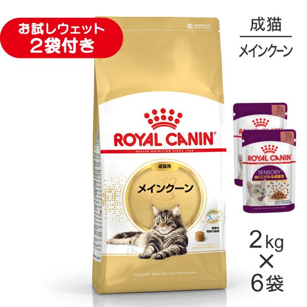 【2kg×6袋】ロイヤルカナン FBN メインクーン 成猫用 生後15ヵ月齢から12歳まで (猫・キャット)[正規品]