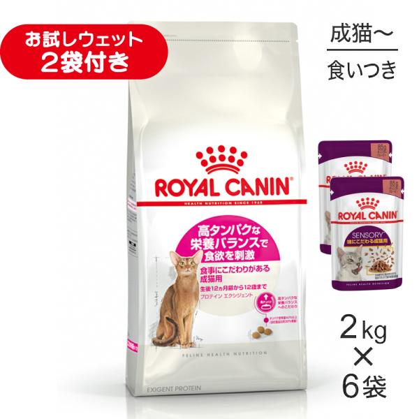 【2kg×6袋】ロイヤルカナン FHN プロテイン エクシジェント 食事にこだわりがある成猫用 生後12ヵ月齢から12歳まで (猫・キャット)[正規品]