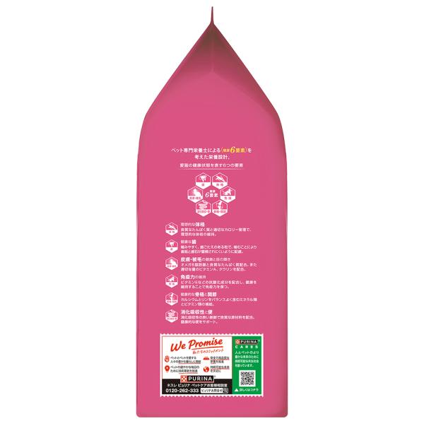 【2kg×6袋】ネスレ ピュリナ ワン キャット 1歳までの子ねこ用/妊娠・授乳期の母猫用 サーモン＆ツナ (猫・キャット)[正規品]