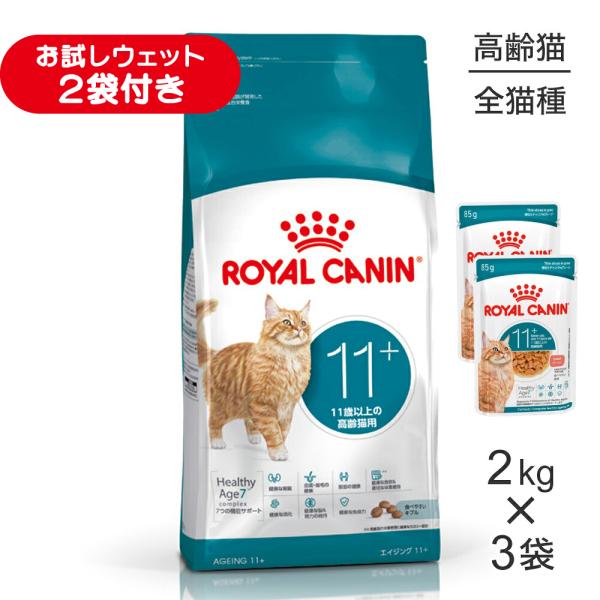 【2kg×3袋】ロイヤルカナン FHN エイジング 11+ 高齢猫用 11歳以上 (猫・キャット)[正規品]