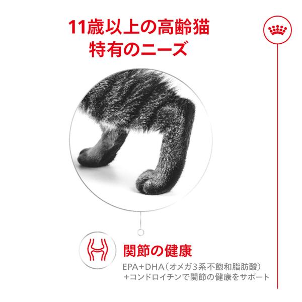 【4kg×4袋】ロイヤルカナン FHN エイジング 11+ 高齢猫用 11歳以上 (猫・キャット)[正規品]