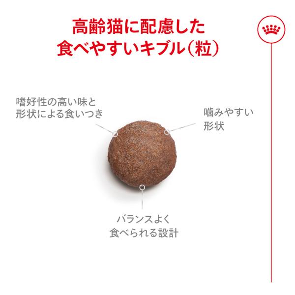 【400g×12袋】ロイヤルカナン FHN エイジング 15+ 高齢猫用 15歳以上 (猫・キャット)[正規品]