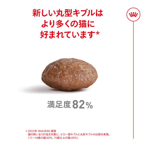 【2kg×4袋】ロイヤルカナン FHN エイジング 15+ 高齢猫用 15歳以上 (猫・キャット)[正規品]
