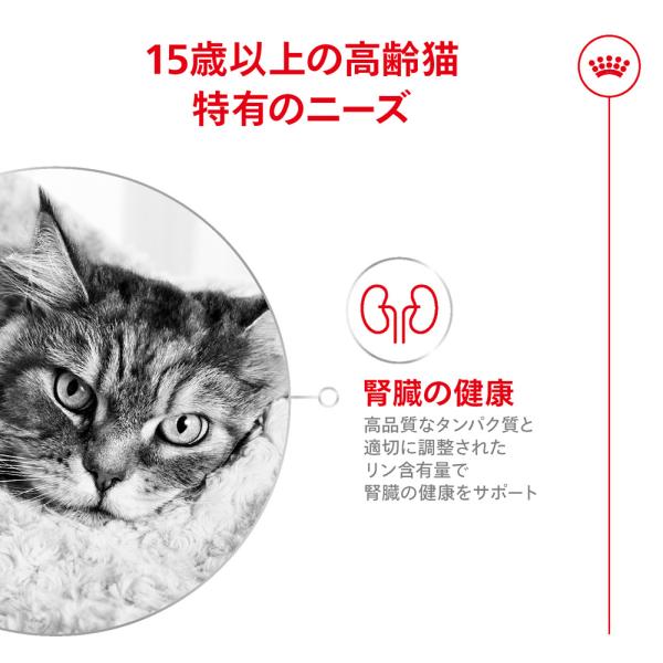 【2kg×6袋】ロイヤルカナン FHN エイジング 15+ 高齢猫用 15歳以上 (猫・キャット)[正規品]