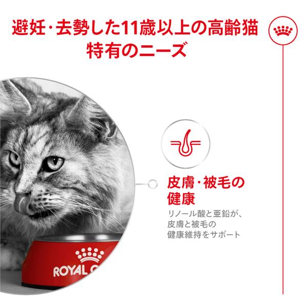 【400g×4袋】ロイヤルカナン FHN エイジング ステアライズド 11+ 避妊・去勢 高齢猫用 11歳以上 (猫・キャット)[正規品]