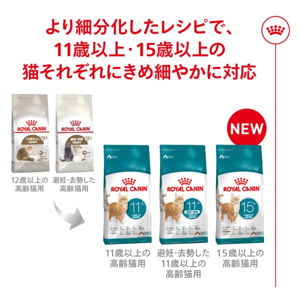 【2kg×2袋】ロイヤルカナン FHN エイジング ステアライズド 11+ 避妊・去勢 高齢猫用 11歳以上 (猫・キャット)[正規品]