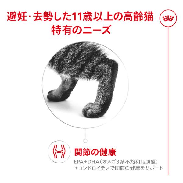 【2kg×4袋】ロイヤルカナン FHN エイジング ステアライズド 11+ 避妊・去勢 高齢猫用 11歳以上 (猫・キャット)[正規品]