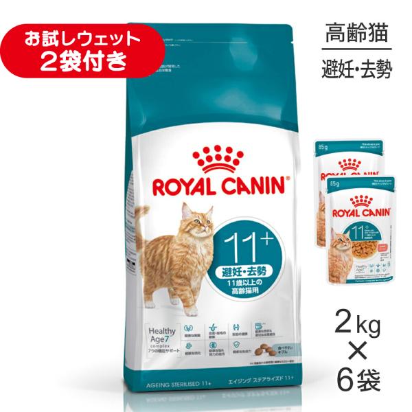 【2kg×6袋】ロイヤルカナン FHN エイジング ステアライズド 11+ 避妊・去勢 高齢猫用 11歳以上 (猫・キャット)[正規品]