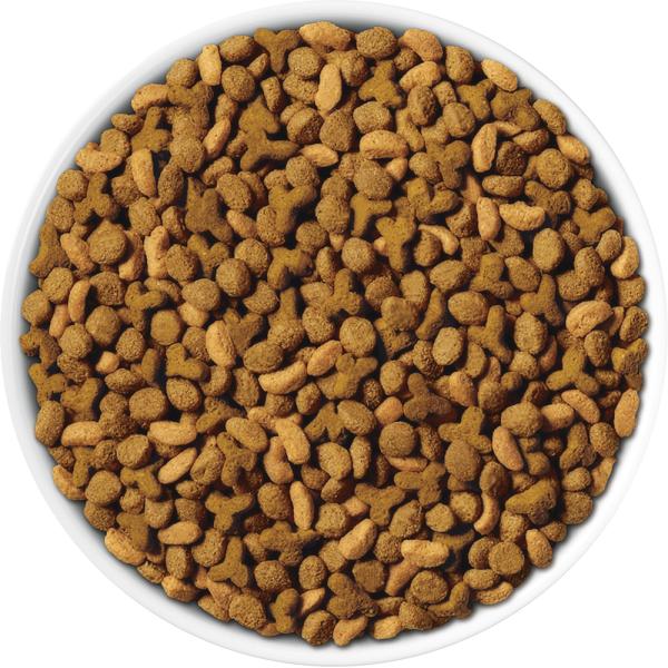 【120g×12袋】ネスレ ピュリナ ワン キャット 高たんぱく 適正な体重を維持 1歳以上 チキン (猫・キャット)[正規品]