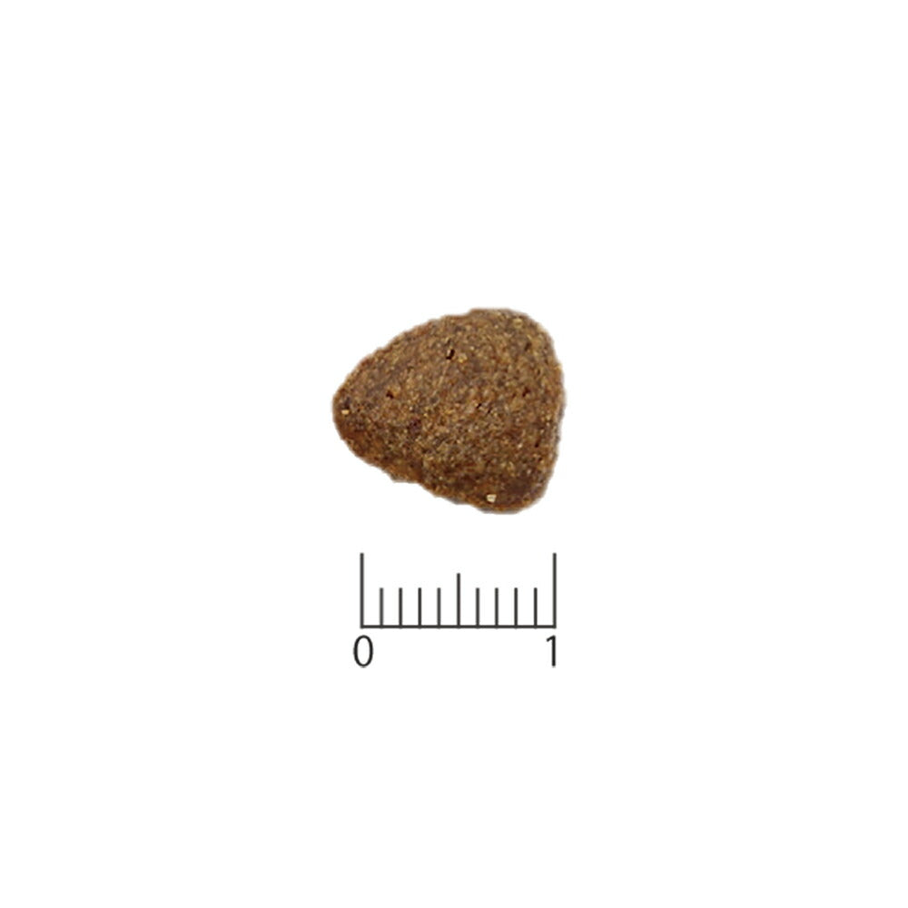 MONGE VetSolution ベッツソリューション 心臓サポート 療法食 800g