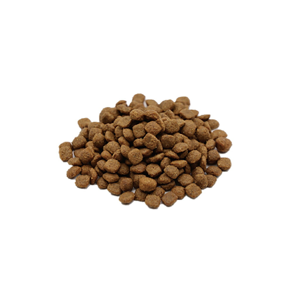 MONGE VetSolution ベッツソリューション 胃腸サポート 療法食 2kg (猫・キャット)[正規品]