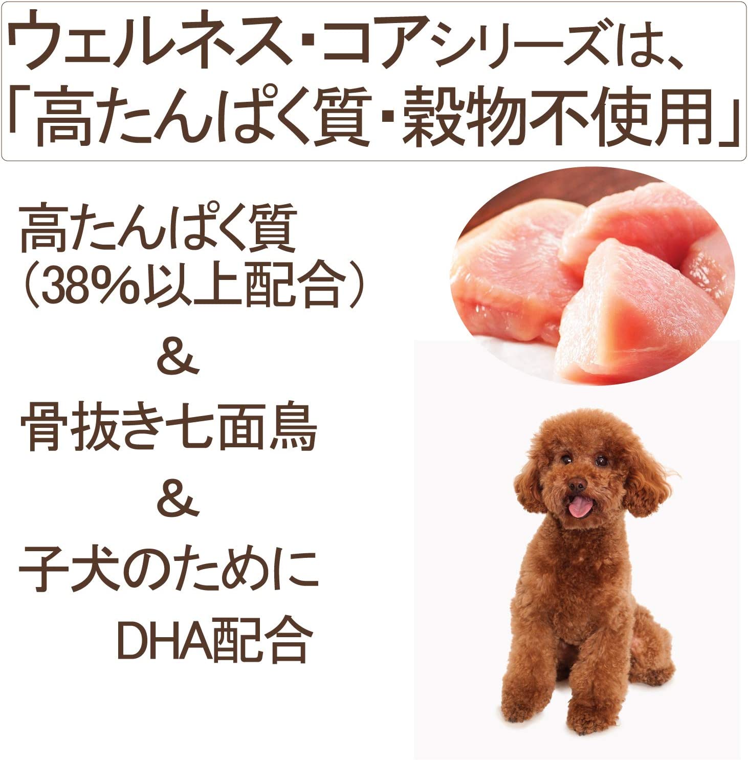 ウェルネス コア 小型犬 子犬用 離乳期から1歳まで 骨抜き七面鳥 800g (犬・ドッグ)[正規品]