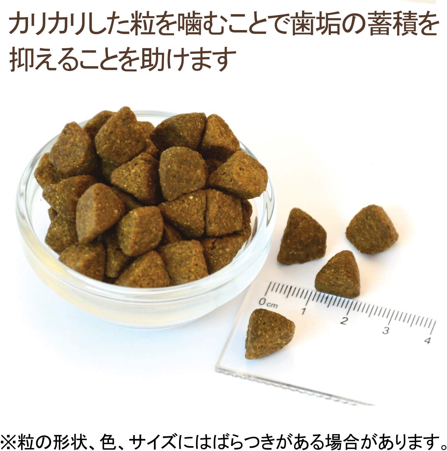 ウェルネス コア 成犬用 1～6歳 オーシャンフィッシュ 白身魚 800g (犬・ドッグ)[正規品]