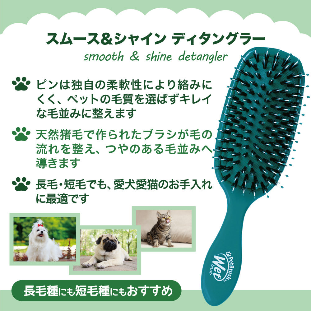 ウェットブラシ Wetbrush スムース＆シャイン ディタングラー (犬猫兼用)[正規品]
