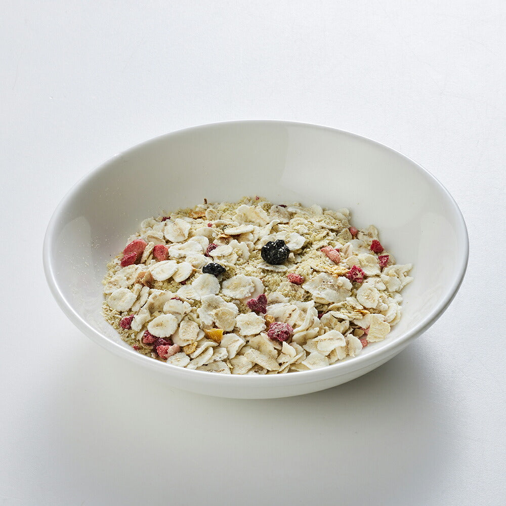 ホワイトフォックス BASE DELI FRUIT ベースデリ フルーツ 手づくりごはんベース 無添加 500g (犬・ドッグ) white fox