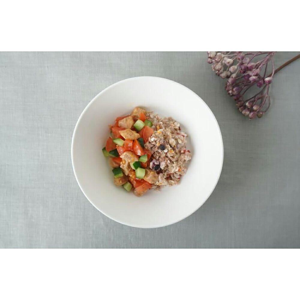 ホワイトフォックス BASE DELI FRUIT ベースデリ フルーツ 手づくりごはんベース 無添加 500g (犬・ドッグ) white fox