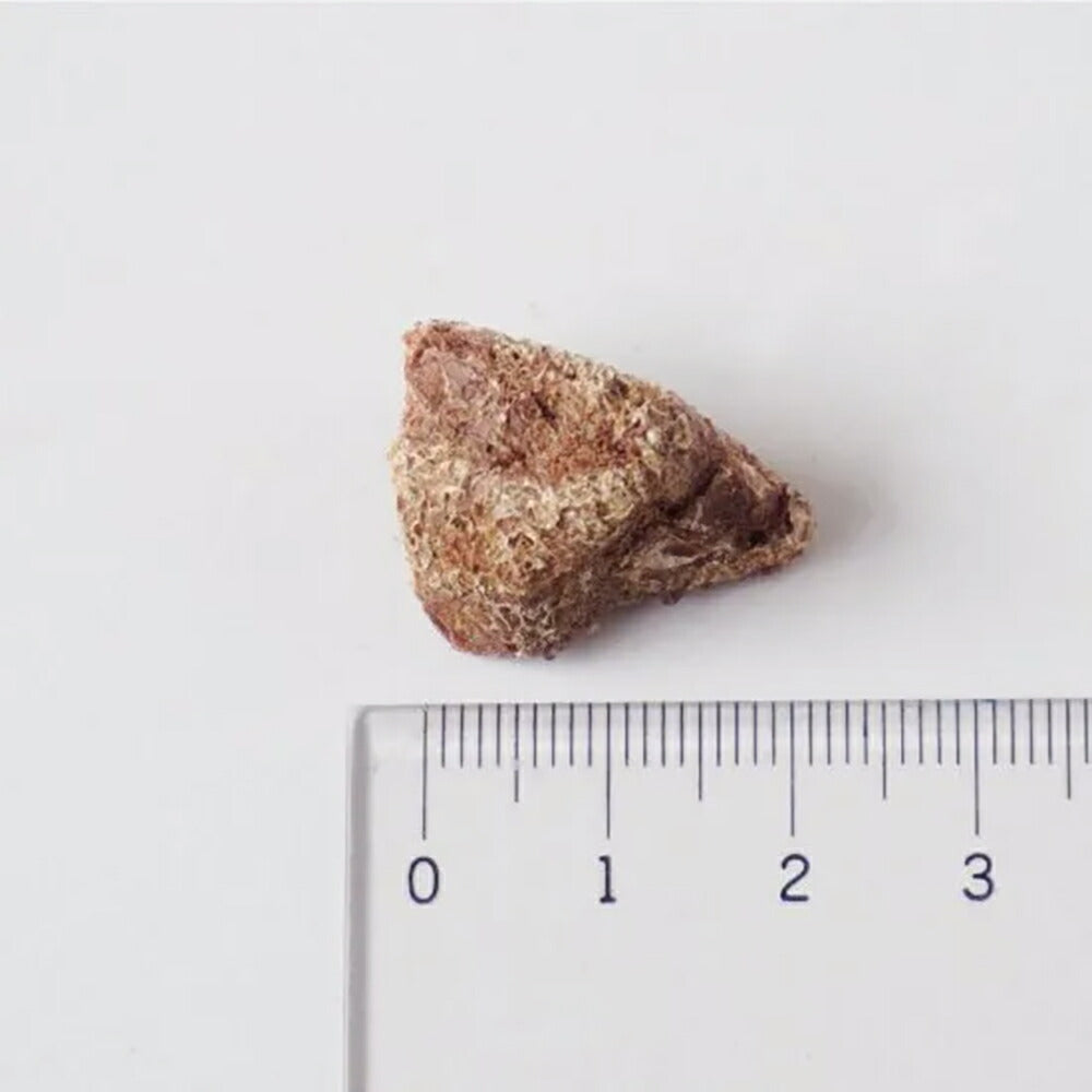 ホワイトフォックス 新鮮豚レバーのフリーズドライ 無添加 130g (犬猫兼用) white fox