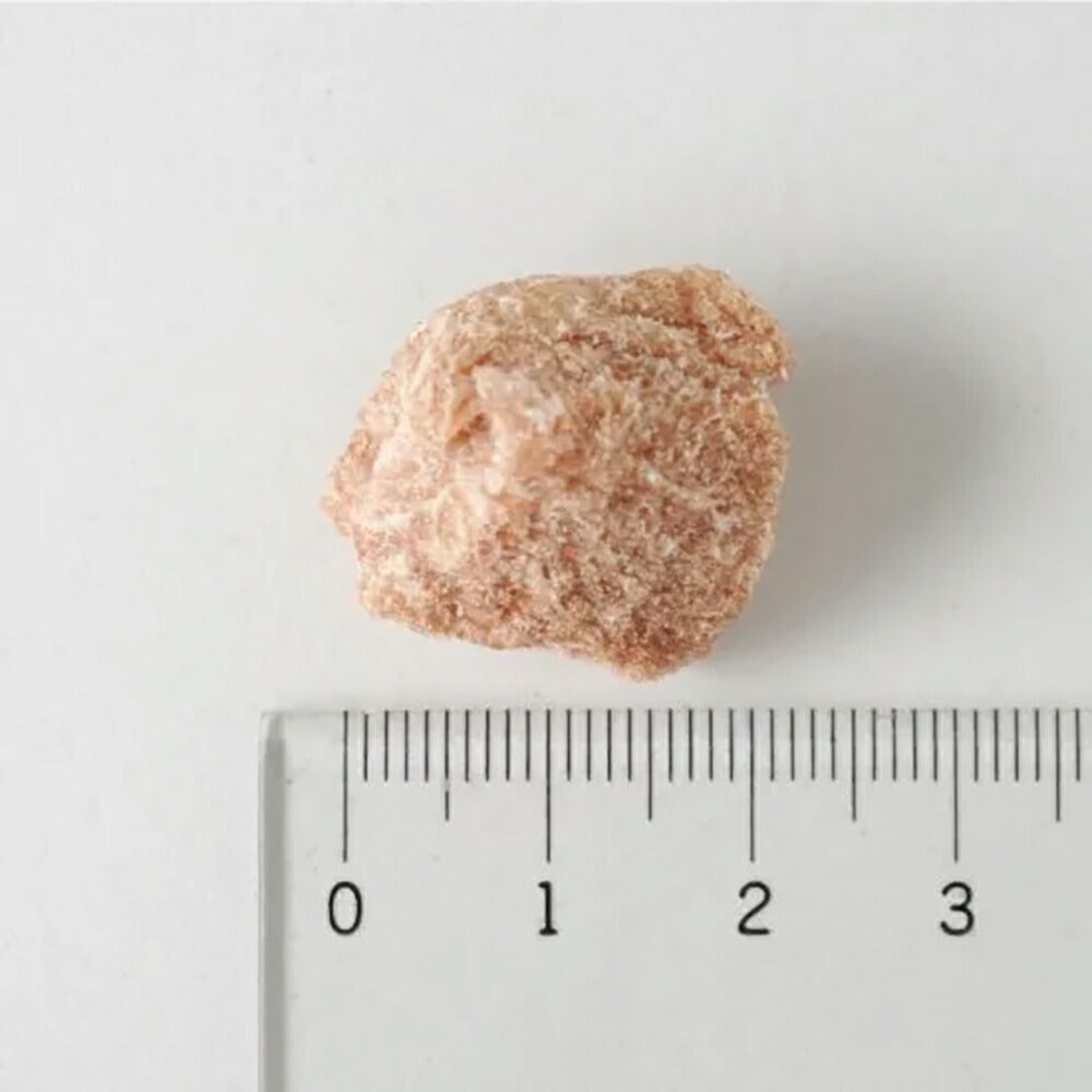 ホワイトフォックス 石見ポークのフリーズドライ 無添加 120g (犬猫兼用) white fox