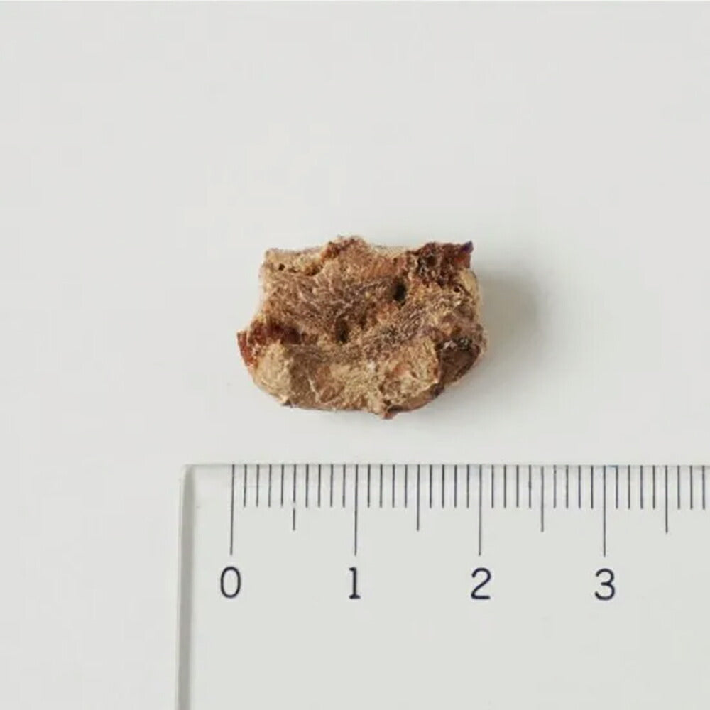 ホワイトフォックス エゾ鹿肉のフリーズドライ 無添加 120g (犬猫兼用) white fox