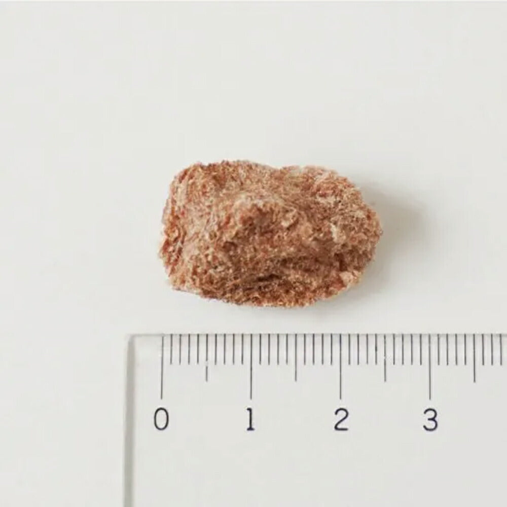 【メール便】ホワイトフォックス 猪肉のフリーズドライ 無添加 30g (犬猫兼用) white fox [M便 1/4]