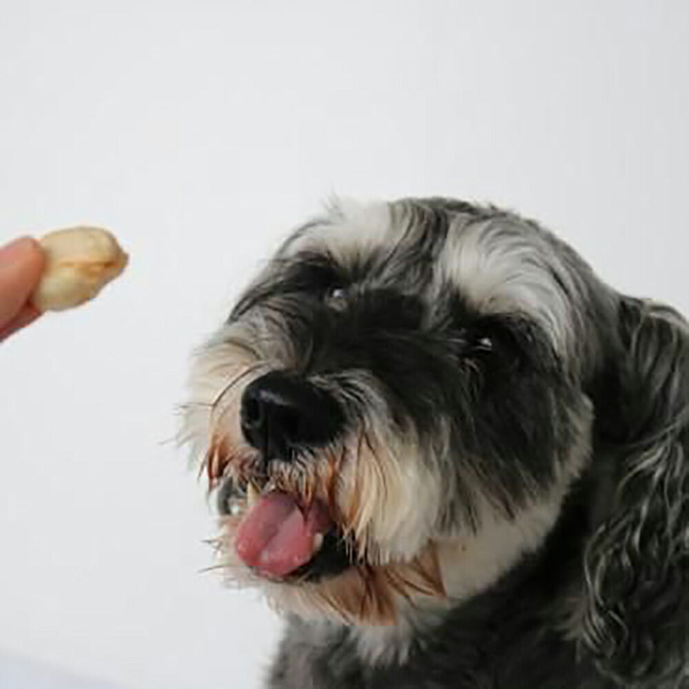 ホワイトフォックス 北海道産ホタテのフリーズドライ 無添加 90g (犬猫兼用) white fox