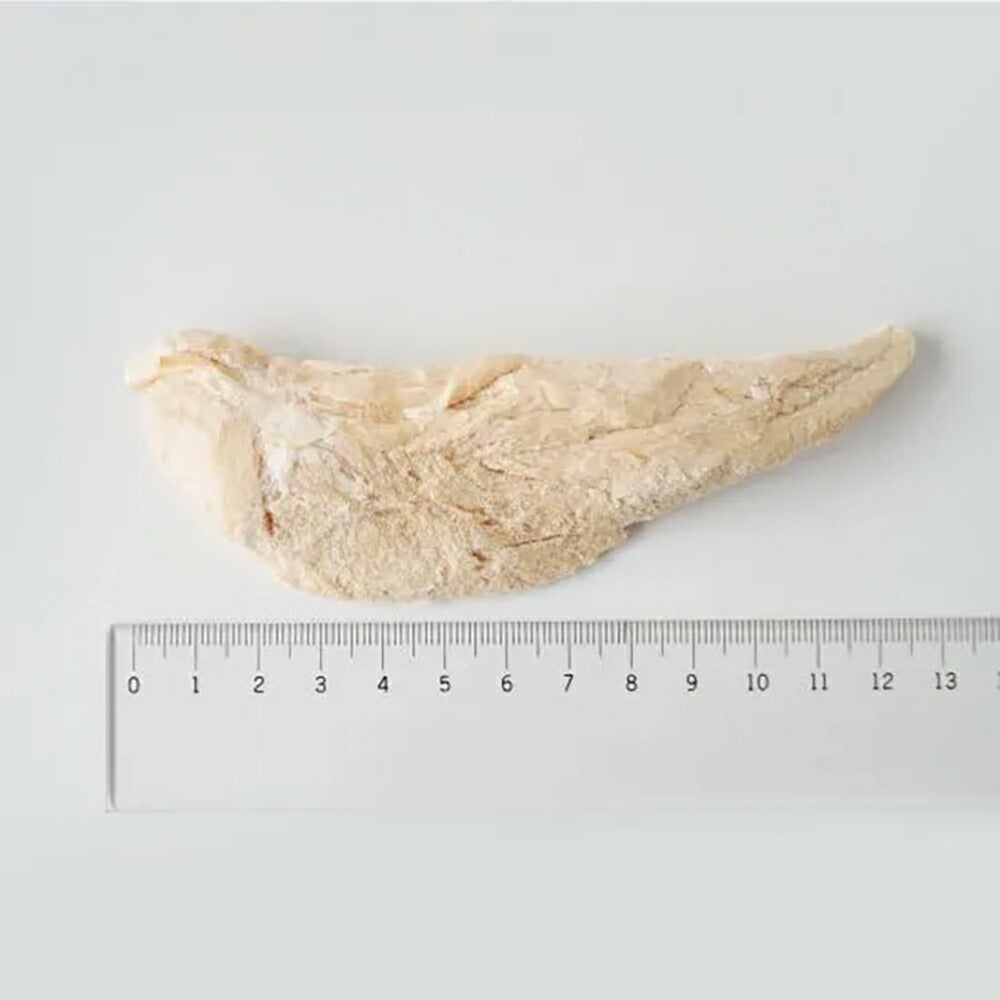 ホワイトフォックス 鶏ささみのフリーズドライ 犬用 無添加 165g (犬・ドッグ) white fox