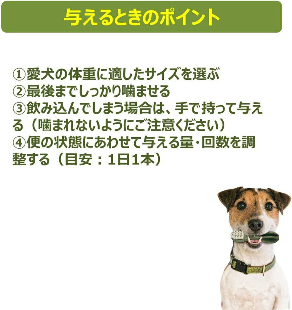 WHIMZEES ウィムズィーズ ハリネズミ L 大型犬 体重18-27kg 1個入 (犬・ドッグ)[正規品]