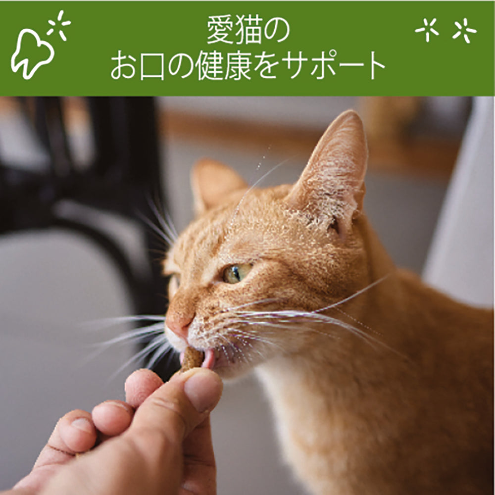 【メール便】WHIMZEES ウィムズィーズ チキン 猫用 56g (猫・キャット)[正規品][M便 1/3]