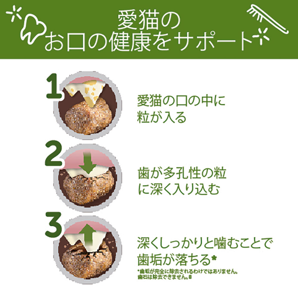WHIMZEES ウィムズィーズ チキン&ツナ 猫用 127g (猫・キャット)[正規品]