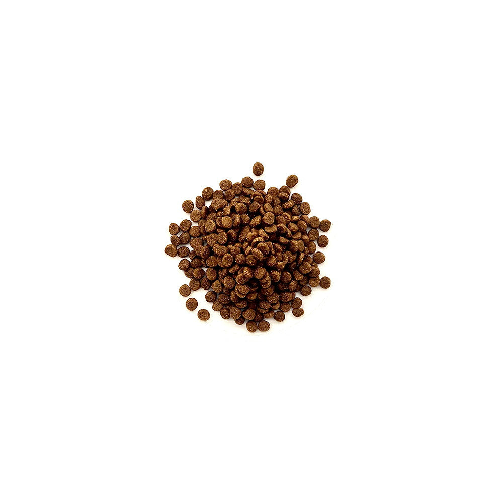 ウィッシュ 子猫用 ワイルドキャットプレミアムキトン 260g (猫・キャット) Wish