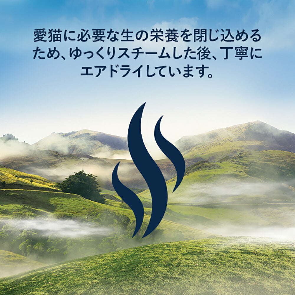 ZIWI ジウィピーク スチーム＆ドライ グラスフェッドビーフ with サザンブルーホワイティング レシピ 2.2kg (猫・キャット)[正規品]