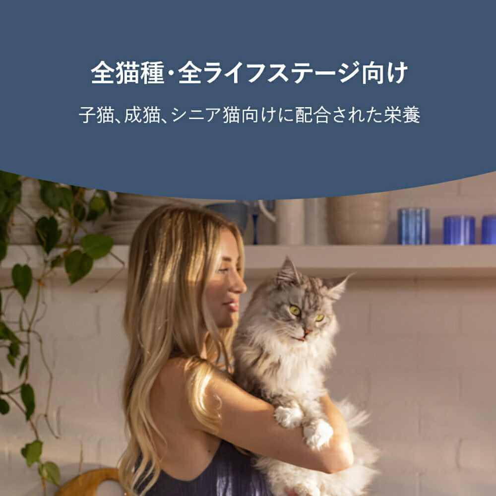 ZIWI ジウィピーク スチーム＆ドライ ワイルドサウスパシフィックフィッシュレシピ 800g (猫・キャット)[正規品]