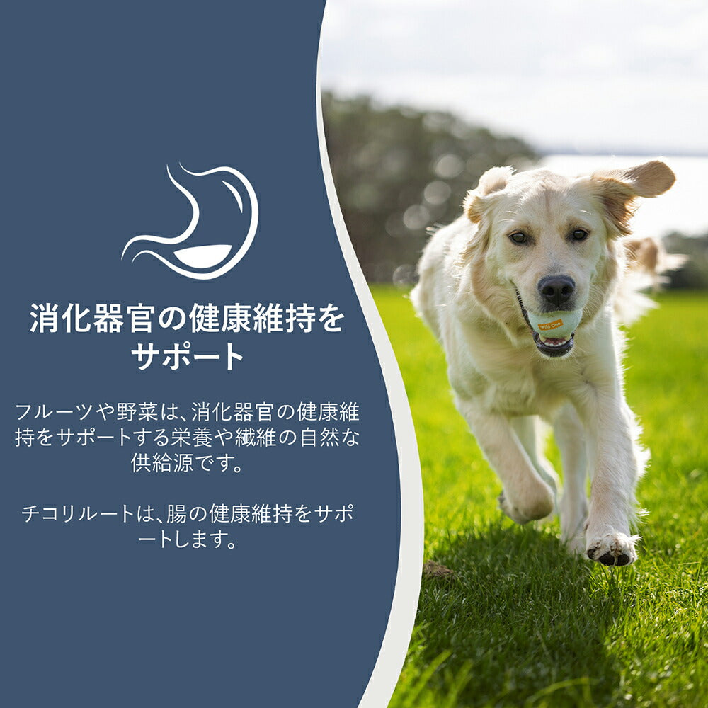 ZIWI ジウィピーク スチーム＆ドライ グラスフェッドビーフ with パンプキンレシピ 1.5kg (犬・ドッグ)[正規品]