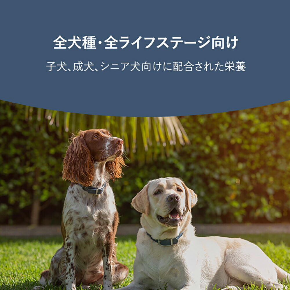 ZIWI ジウィピーク スチーム＆ドライ グラスフェッドラム with グリーンベジタブルレシピ 1.5kg (犬・ドッグ)[正規品]